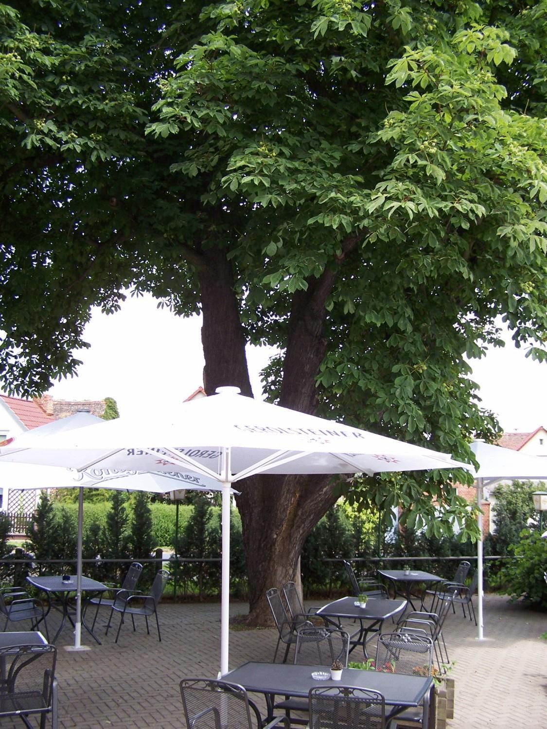 Hotel Glindenberger Hof Екстер'єр фото